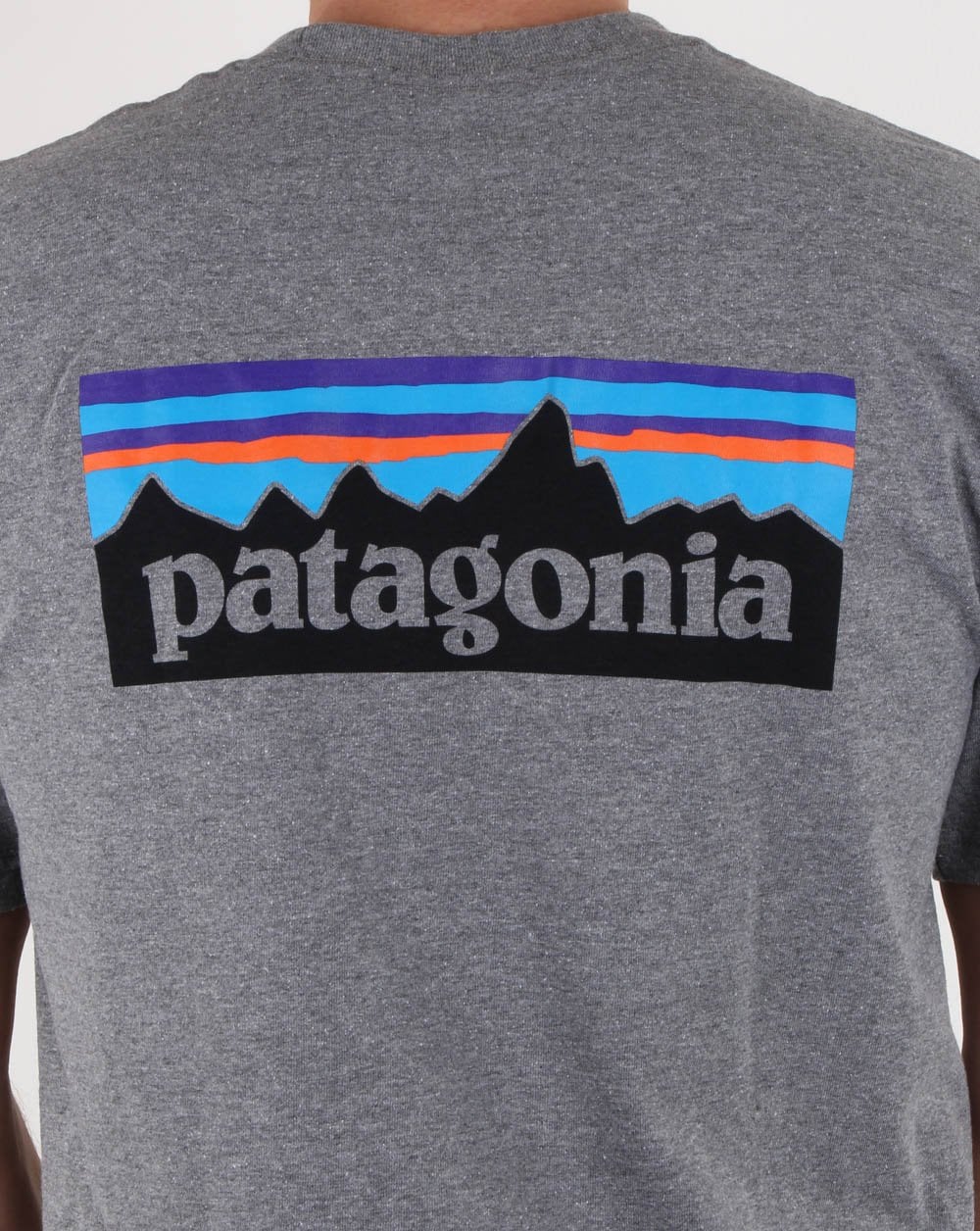 grey patagonia t shirt